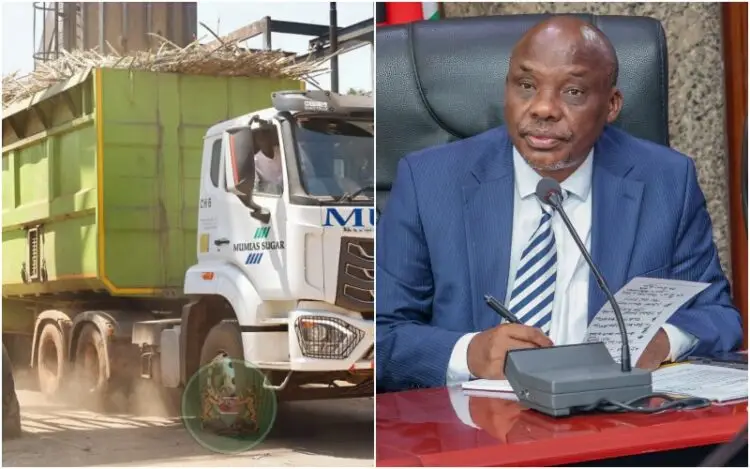 Sweet deal: Gov’t raises sugarcane prices once again, announces new rates