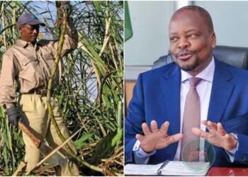 It's a boost for farmers after the government announced new sugarcane prices. Photo|courtesy.