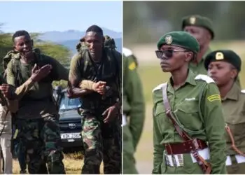 Wildlife Ranger Challenge.