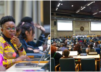 The African Ministerial Conference on the Environment (AMCEN) .