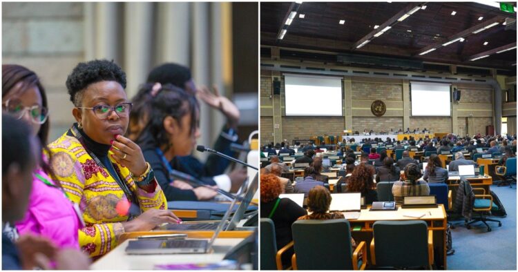 The African Ministerial Conference on the Environment (AMCEN) .