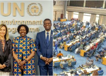 The ministerial segment of AMCEN20 is ongoing in Nairobi, Kenya.