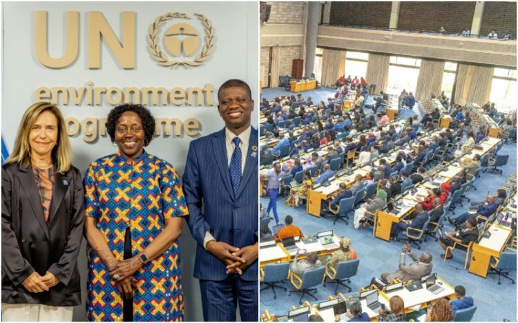 The ministerial segment of AMCEN20 is ongoing in Nairobi, Kenya.
