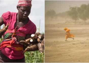 Bending the curve of land degradation to achieve global environmental goals. Photo_courtesy