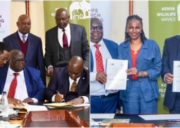 KWS, WRTI in new joint memorandum of understanding. Photo|Courtesy.