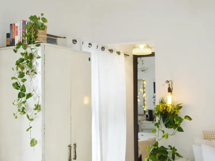 Home Glow-Up: Fun & Easy Décor Tips to Transform Your Space