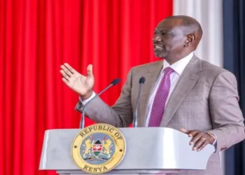 William Ruto: No excuse not to perform under my administration
