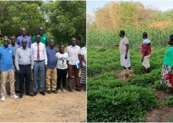 Turkana County initiated food security projects.