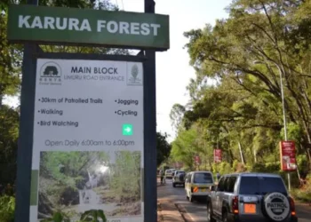 Friends of Karura protests over KFS e-citizen payment