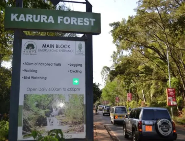 Friends of Karura protests over KFS e-citizen payment