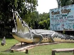 Sun, Sand & Swahili Vibes: 10 Best Places to Visit in Mombasa