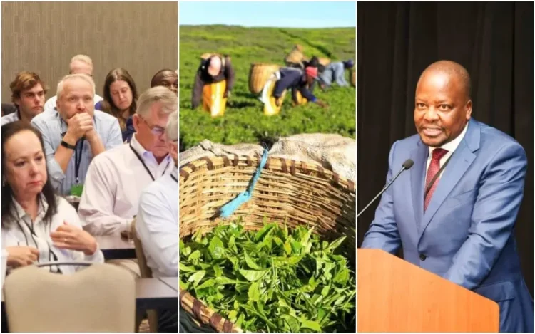 CS Mutahi Kagwe spoke at the North America Tea Conference in South Carolina. Photo|courtesy.