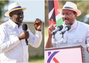 Kalonzo Musyoka insists he's not going to work with President William Ruto. Photo|courtesy.