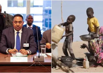 El Fasher is one of the areas hardest hit by Sudan's war. Photo|courtesy.