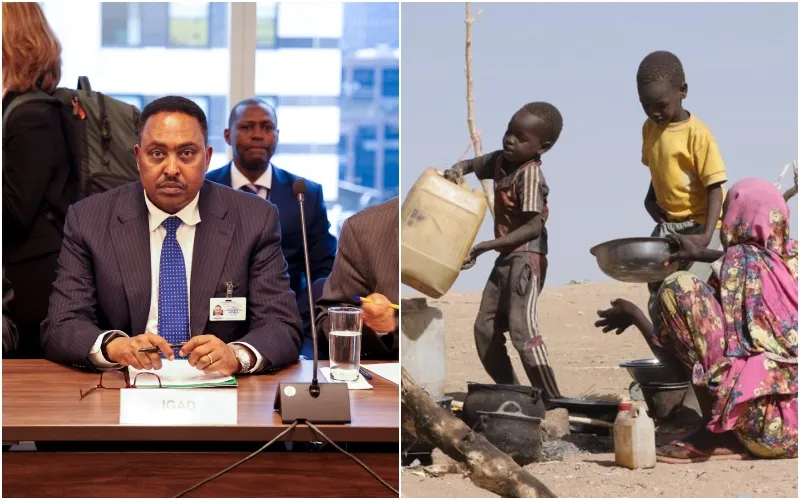 El Fasher is one of the areas hardest hit by Sudan's war. Photo|courtesy.