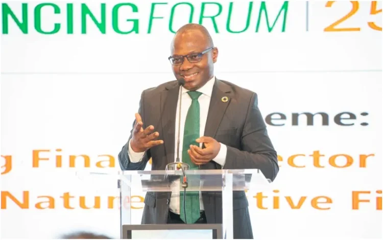 Kenya’s commercial bank’s surpass KSh 150b in MSME lending annual target, taps nature finance for green economy