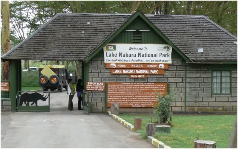 Lake Nakuru National Park is located in Nakuru County. Photo|courtesy.