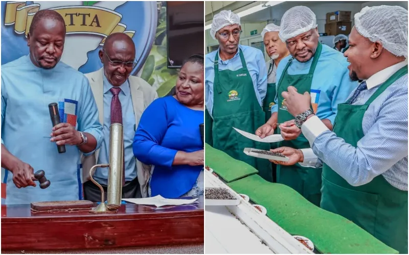 The Orthodox Tea Trading Window was launched at the Mombasa Tea Auction. Photo|courtesy.