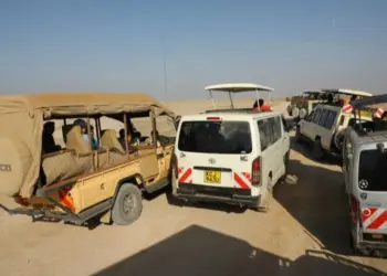 Kenyans to enjoy free entry to national parks on September 27, 2025, in honor of World Tourism Day
