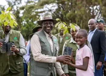 (IN PICTURES) Ruto leads Kenyans in marking 2025 Mazingira Day with tree planting at state house