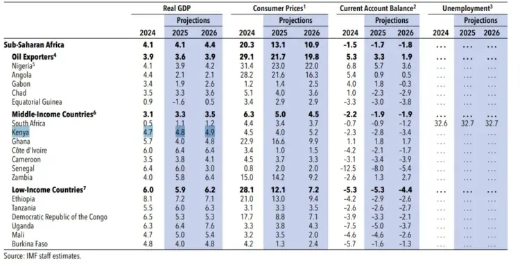 How US tariff shift is shaping global economy – IMF report