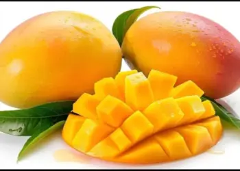 The sweet power of mango: Why this tropical fruit is a boost for every body