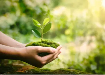 Every school in Kenya to plant 2,000 fruit trees on mazingira day in nationwide climate initiative