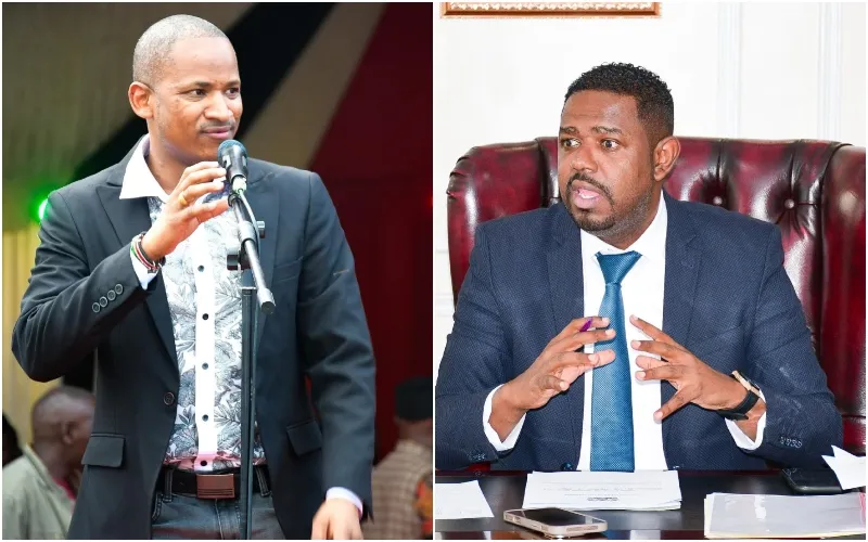 MP Babu Owino and PS Abubakar Hassan Abubakar. Photo, courtesy.