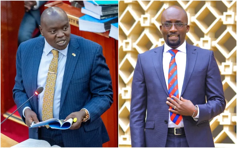 Senator Samson Cherargei and MP Timothy Kipchumba. Photo, courtesy.