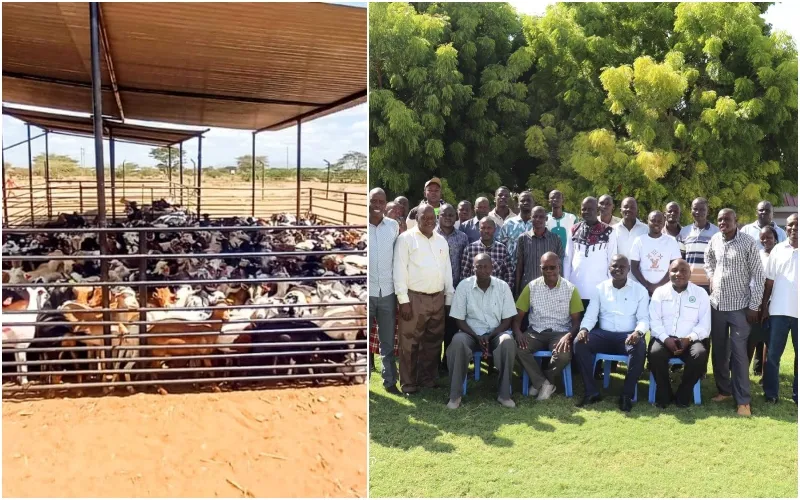 The project has brought together leaders of Livestock Marketing Associations in Turkana. Photo, courtesy.