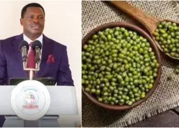 Farmers in Tharaka Nithi County have also embraced the planting of green grams. Photo, courtesy.