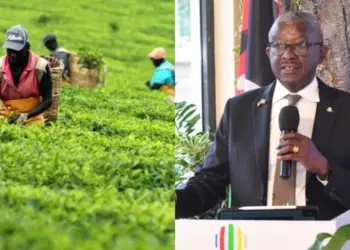 The Dr. Isaac Kalua Green-led party said tea is not just a crop. It is a national livelihood system. Photo, courtesy.