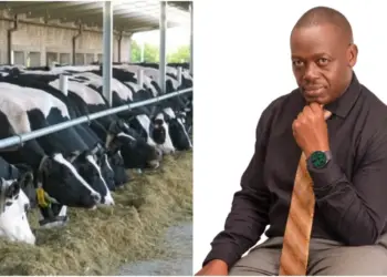 Eng. George Oywer said modern dairy farming is a profitable agribusiness with huge opportunities for farmers. Photo, courtesy.