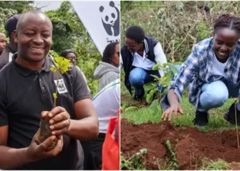 WWF-Kenya partnered with the Kenya Forest Service, NCBA Group, Sankara Nairobi and Greenspoon | B Corp to plant trees at Ngong Hills Forest. Photo: WWF-Kenya. Source: LinkedIn.