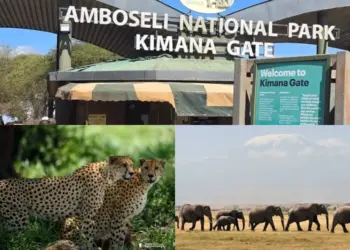 Amboseli National Park temporarily closes main airstrip after floods