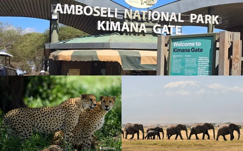 Amboseli National Park temporarily closes main airstrip after floods