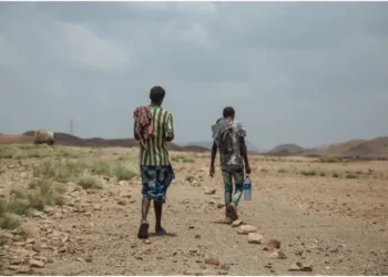 Every year, thousands of migrants, mainly from Ethiopia, take the Eastern Route headed to the Gulf countries in search of work opportunities. Photo: IOM Somalia. Source: X.