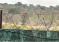 Migrants from the Horn of Africa travelling along the Eastern Southern Route continue to face severe risks, including death, disappearance, violence and exploitation. Photo: IOM. Source: X.