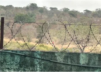 Migrants from the Horn of Africa travelling along the Eastern Southern Route continue to face severe risks, including death, disappearance, violence and exploitation. Photo: IOM. Source: X.