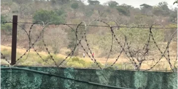 Migrants from the Horn of Africa travelling along the Eastern Southern Route continue to face severe risks, including death, disappearance, violence and exploitation. Photo: IOM. Source: X.
