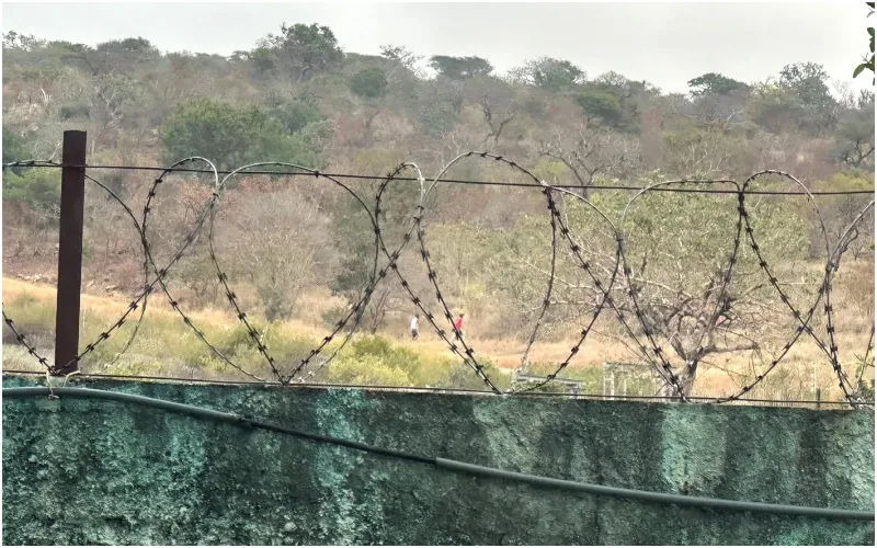 Migrants from the Horn of Africa travelling along the Eastern Southern Route continue to face severe risks, including death, disappearance, violence and exploitation. Photo: IOM. Source: X.