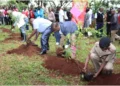 Carbon pricing raises over KSh 13.8 trillion in government revenue