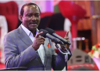 Wiper Patriotic Front leader Kalonzo Musyoka. Photo: Kalonzo Musyoka. Source: X.