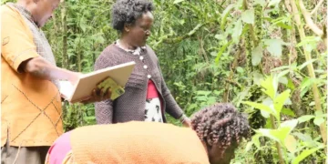 Herbalists search for traditional medicine at the Kamgoin Conservancy in Baringo County. Photo by Dennis Lubanga.