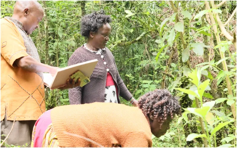 Herbalists search for traditional medicine at the Kamgoin Conservancy in Baringo County. Photo by Dennis Lubanga.