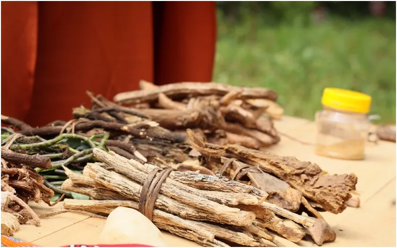 Some of the herbal medicines on display at the Kamgoin Conservancy in Baringo County. Photo by Dennis Lubanga.