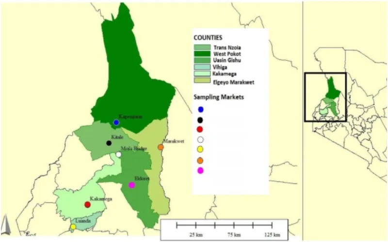 The governance of traditional medicine and herbal remedies in the selected local markets of Western Kenya | Journal of Ethnobiology and Ethnomedicine | Springer Nature Link.