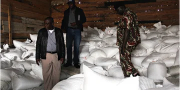 Uasin Gishu: 8 arrested in fake fertiliser crackdown