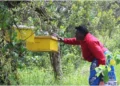 Laikipia farmer doubles beekeeping production after NURTURE Project partnership