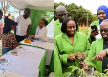National Biosafety Authority (NBA) continues to sensitise Kenyans on its mandate in regulating GMOs. Photo: Biosafety Kenya. Source: X.
